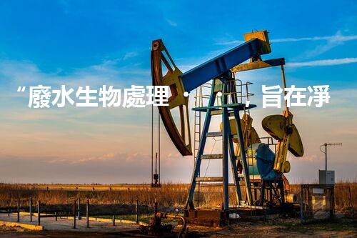 “廢水生物處理，旨在凈化水源，守護碧水藍天”